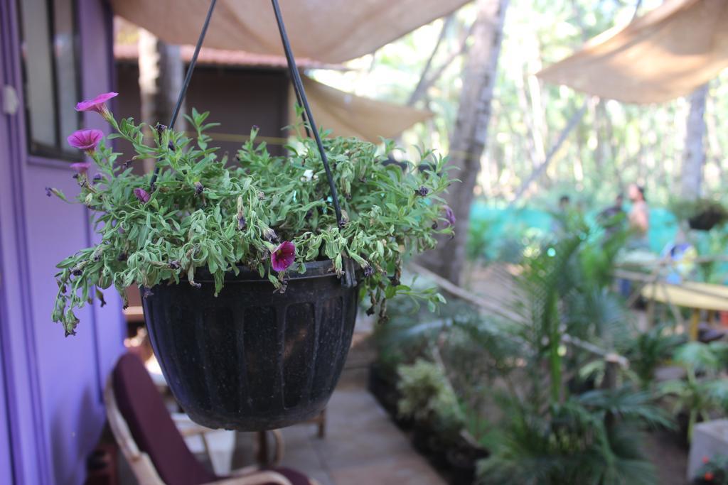 Saturn Cottages أغوندا المظهر الخارجي الصورة