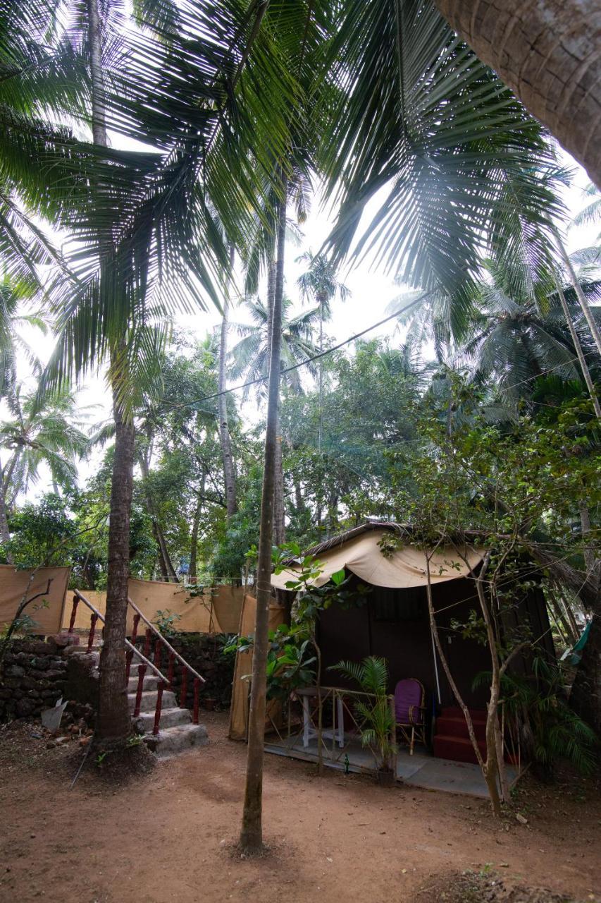 Saturn Cottages أغوندا المظهر الخارجي الصورة